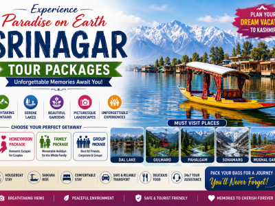 Srinagar Travel agent in patiala